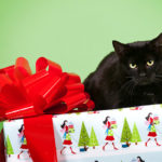 14howlidaynewsevnts