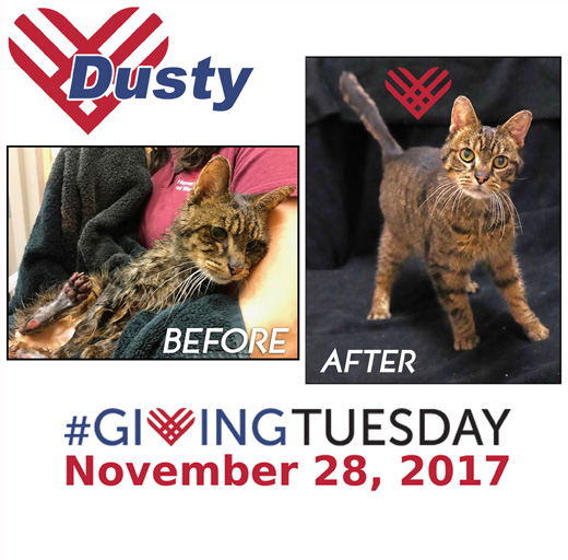 17GivingTuesDUSTYstory