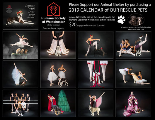 2019 CalendarWebFeaturedMonths