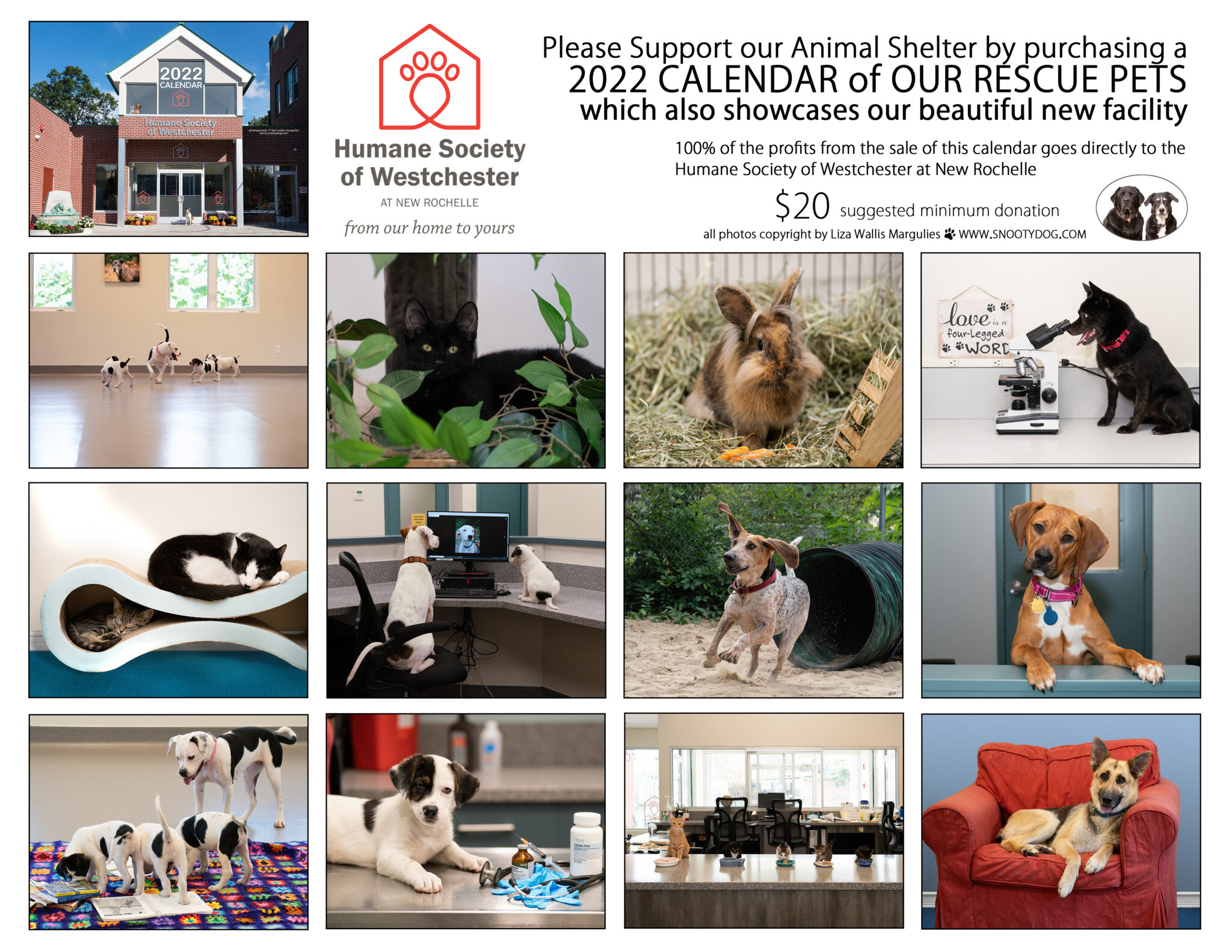 The Humane Society of Westchester’s 2022 Calendar! Humane Society of