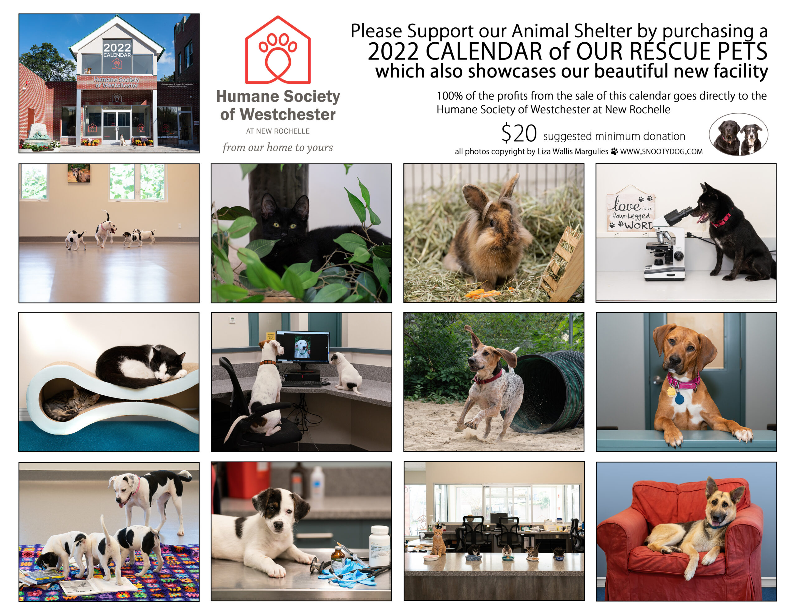 2022 calendar ad Humane Society of Westchester