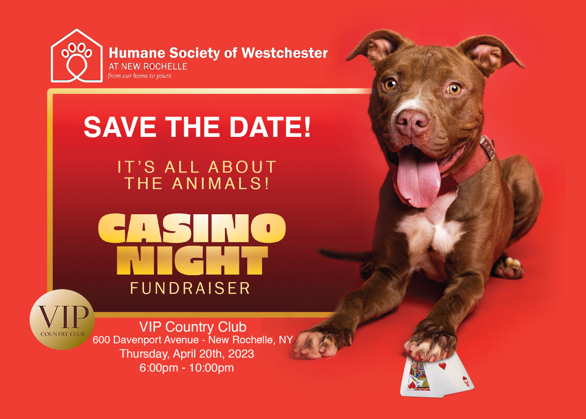 Upcoming Events – Humane Society of Westchester